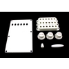 Accessory kit for Strat - 1 spring cover, 3 p/up covers, 1 vol & 2 tone knobs, 1 switch tip, 1 trem arm tip