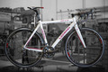 Legend by Marco Bertoletti - HT 4.7 Bespoke Built Carbon Bicycle Frame and Fork