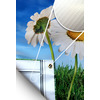 Vinyl Banner Standard Sizes