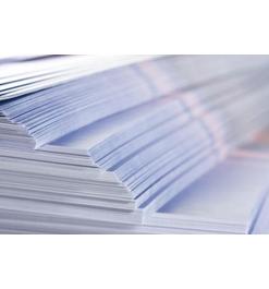 Printed Flyers
