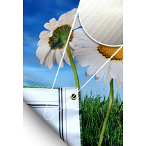 Vinyl Banner Standard Sizes