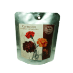 Kew Pocket Garden - Carnation