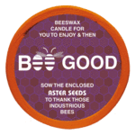 Bee Good - Aster
