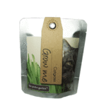 Catgrass -  Pocket Garden