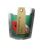Gerbera (mini) -  Pocket Garden