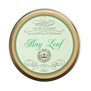 Kew Candle Tin - Bay