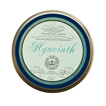 Kew Candle Tin - Hyacinth