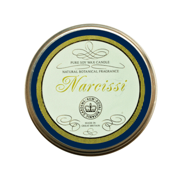 Kew Candle Tin - Narcissi