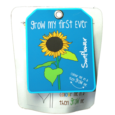 Grow my First - Sunflower