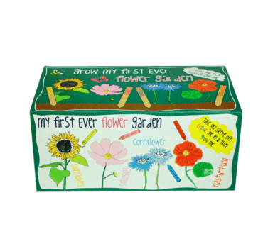 Grow my First Garden Flower Grow Box
