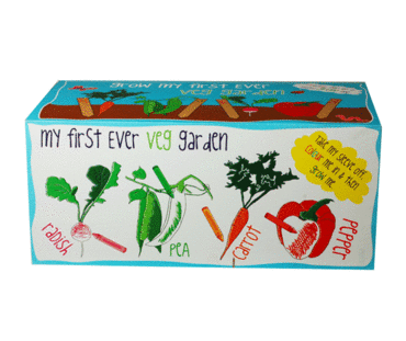 Grow my First Vegetable Grow Kit