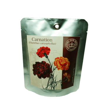 Kew Pocket Garden - Carnation