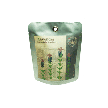Kew Pocket Garden - Lavender