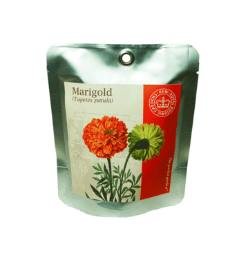 Kew Pocket Garden - Marigold