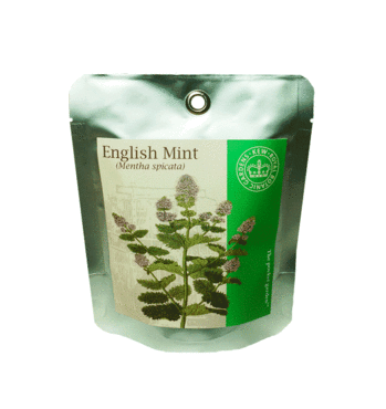 Kew Pocket Garden - Mint