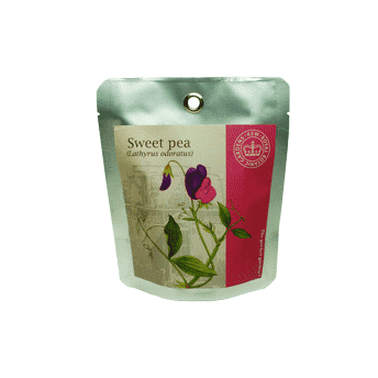 Kew Pocket Garden - Sweet Pea