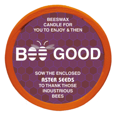 Bee Good - Aster