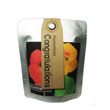 Congratulations Nasturtium -  Pocket Garden -