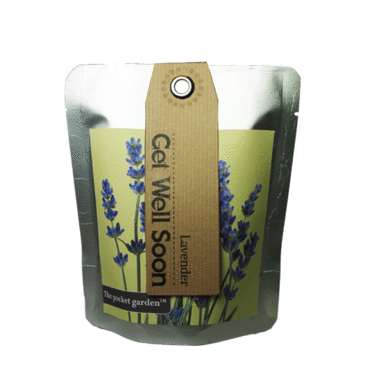 Get Well Soon Lavender -  Pocket Garden -