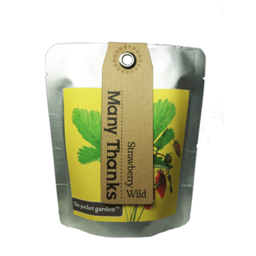 Many Thanks Strawberry - Pocket Garden -