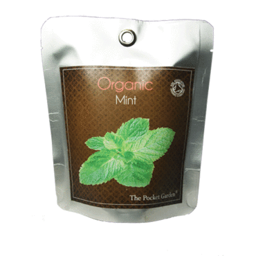 English Mint -  Pocket Garden