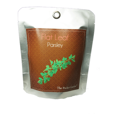 Flat leaf parsley-  Pocket Garden