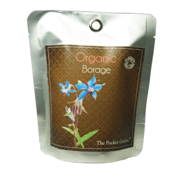 Organic Borage -  Pocket Garden