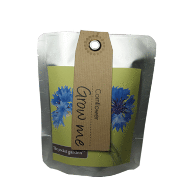 Cornflower   Pocket Garden