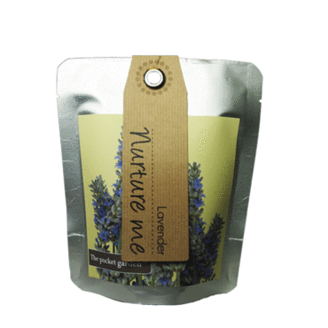 Lavender -  Pocket Garden