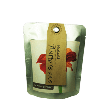 Marigold -  Pocket Garden