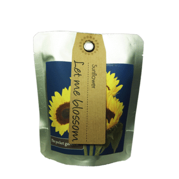 Sunflower -  Pocket Garden