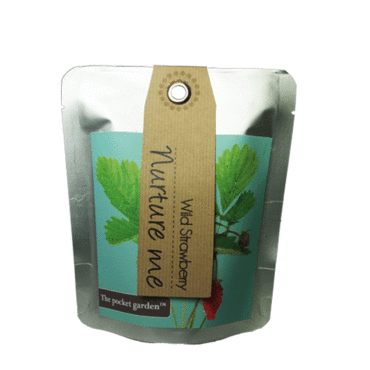 Wild Strawberry -  Pocket Garden