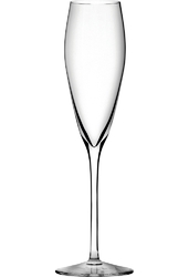 Champagne Glasses
