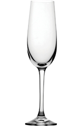 Signum Champagne Flute 6.25oz(18cl) (Box of 6)