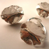 Angel's Wing Ring