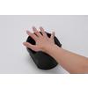 Fujitsu PalmSecure Vein Sensor U-Guide