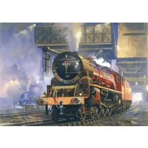 242 Duchess Of The Night
