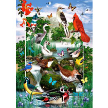 Feathered Friends