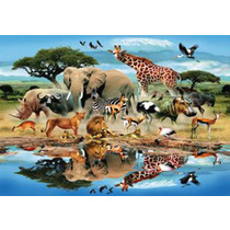 Watering Hole