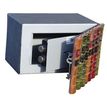 Bookcase Safe E0456