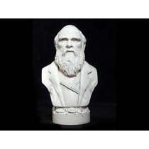 Bust Of Charles Darwin