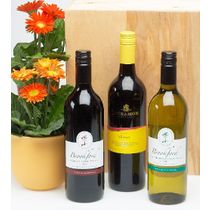 3 bottle Wine Gifts