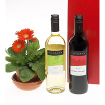 2 bottle Wine Gifts
