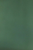 ANNIE - FOREST GREEN DRESS