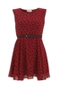 DASHA - MAROON WITH BLACK HEARTS DRESS