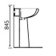 PET001 Petite 535mm Basin & Pedestal