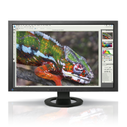Eizo Colour Edge CG243W  Monitor - 1920x1200 Widescreen