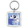 K10 Rounded Square Acrylic Keyring