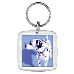 K10 Rounded Square Acrylic Keyring