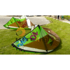 North Evo 10m 2010 Kite Only